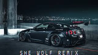2Scratch - SHE WOLF Remix (TY)