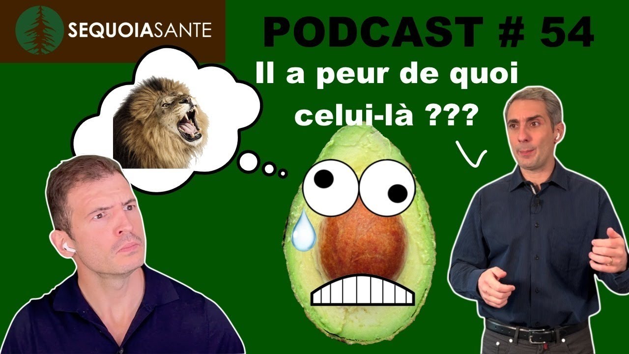 RÉGIME CÉTOGÈNE : devez-vous vous méfier du RÉGIME CARNIVORE ? (Podcast #54)