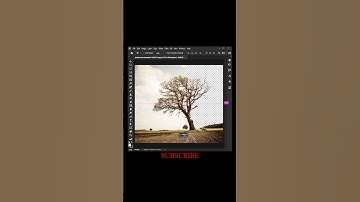 Easy tree selection in photoshop #shorts #photoshop