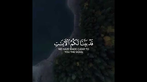 أرح سمعك 🥀القارئ: شريف مصطفى🍃حالات واتس آب