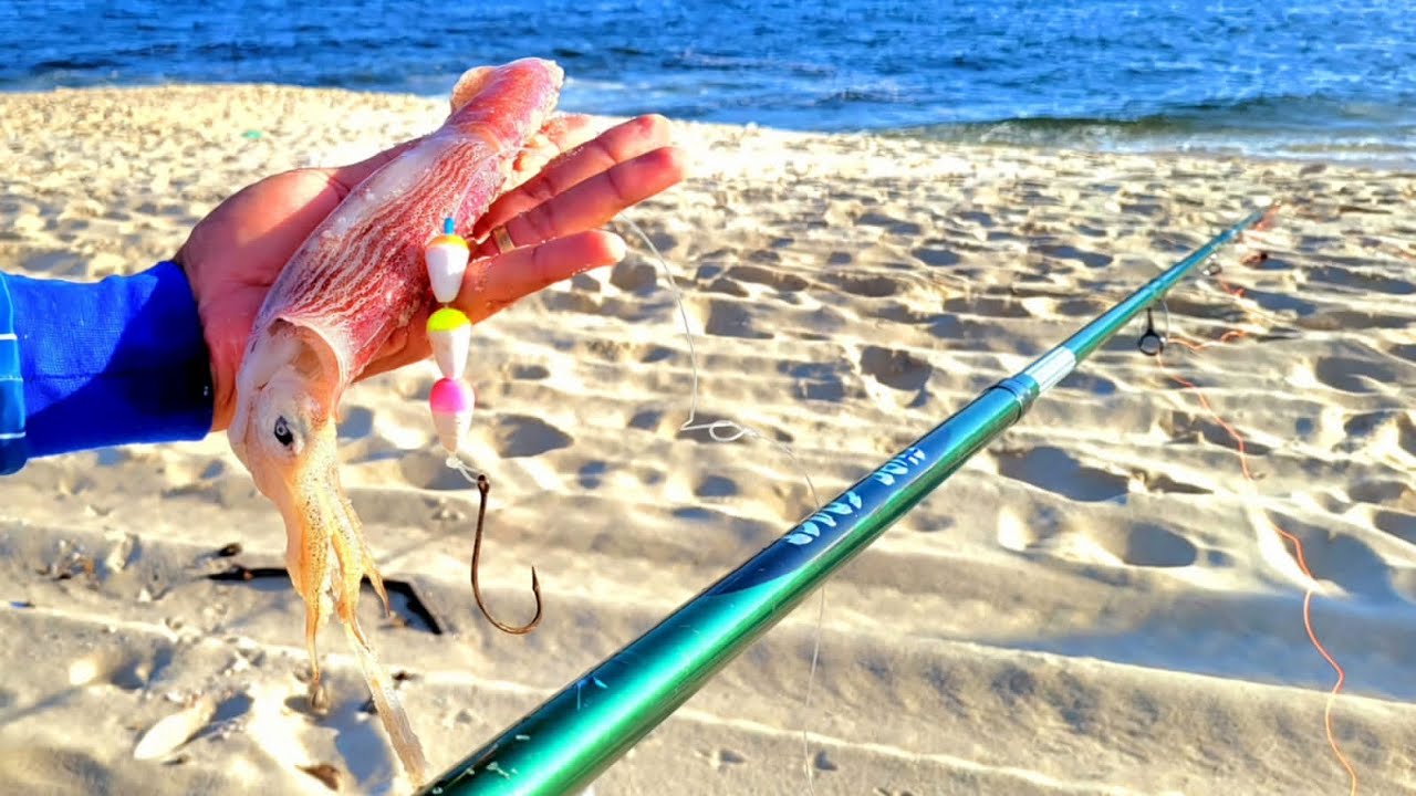 VOCÊ CONHECE A TÉCNICA DA LULA? VAI SE SURPREENDER ESSA ISCADA SALVA PESCARIA! Pesca de praia 2024