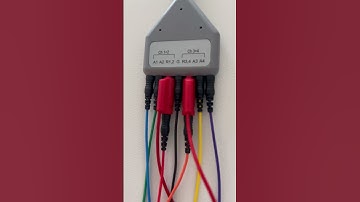 Easy 4 Channel Montage with the Free-Cap for Neurofeedback.