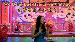 Wo Deng Dao Hua Er Ye Xie Liao 我等到花儿也谢了 Helen Huang Live Performance - Mandarin Song