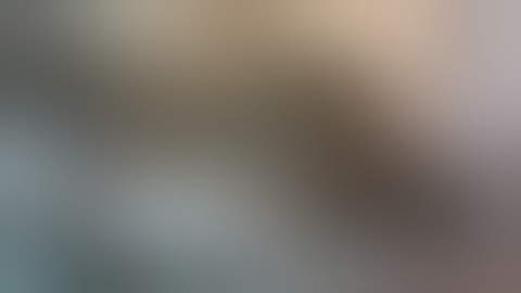 A&P 2 Lab Cat Dissection Spring 2011 - Diagram 3