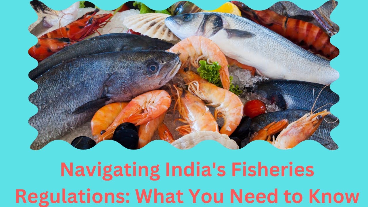 Navigating Fisheries Regulations in India