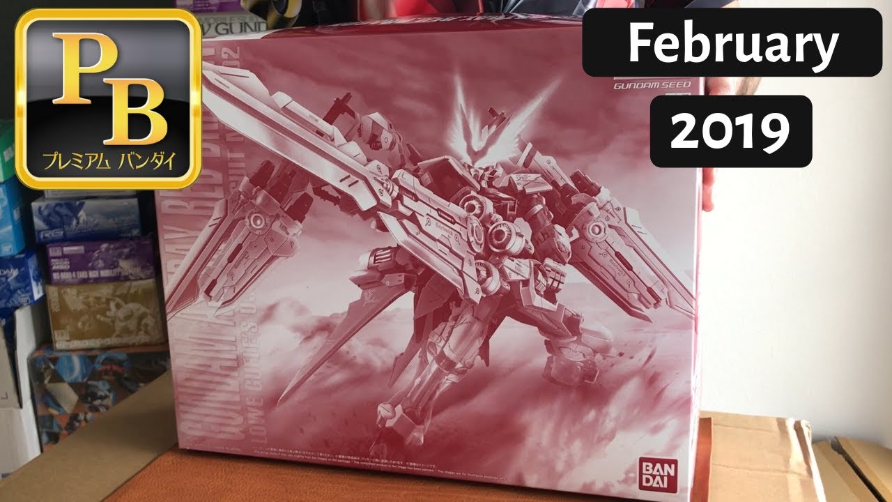 Premium Bandai February 2019 Delivery - YouTube