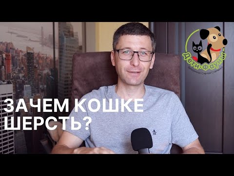 Как в домашних условиях промыть желудок коту