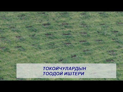 Video: Улуттук Чуңкурлар күнүндө жериңиздеги чуңкурлар жөнүндө кабарлаңыз