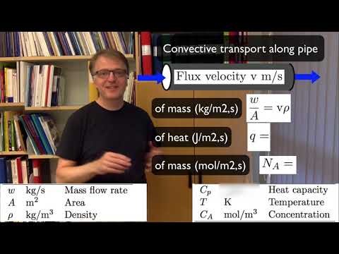 Video: Analyse Des Konvektiven Und Diffusiven Transports Im Hirninterstitium