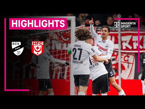 Verl Hallescher Goals And Highlights