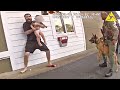 Florida Man Kidnaps His Child, Gets Tased and Bitten by K-9
