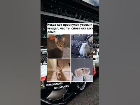 сколько лет мему? - YouTube