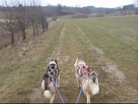 Bikejoering mit Chester, Dutch und Chris