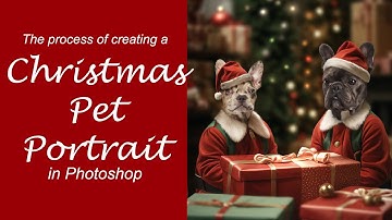 The process of creating a Christmas Pet Portrait in Photoshop
