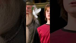 Rip Professor Dumbledor - Harry Potter 