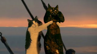 Cat`s Titanic: Myron Falls in Love with OwlKitty | Meowdrama
