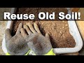 How To Reuse Old Potting Soil - FOUR ways!