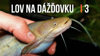 Lov Sumca Úhora Kapra 😇🐍 a iných Rýb na Dážďovku Žížalu 3 🐬 Rybárske Videá s Demexom