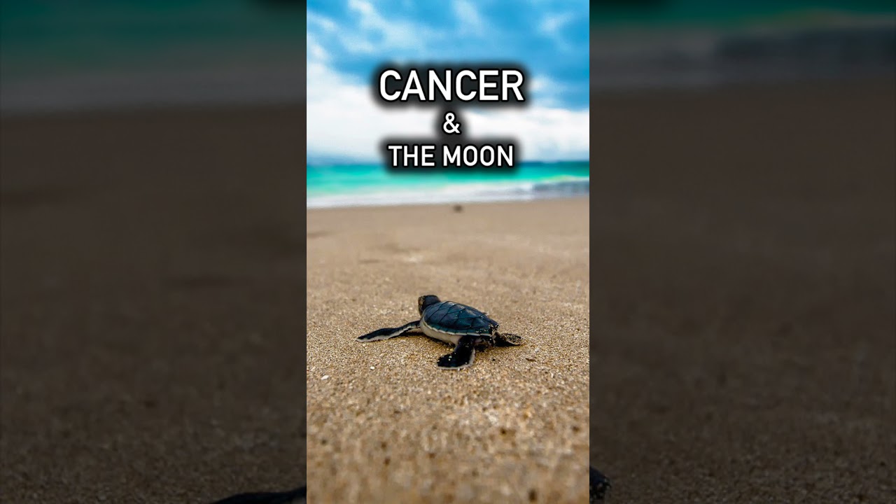 Cancer & The Moon - Your Planetary Ruler