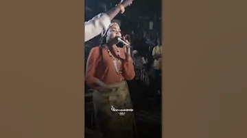 الفنانة شادن ماشة تتني 
