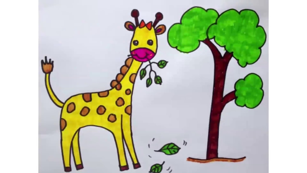 Drawing & Coloring giraffe for kid | สรุปเนื้อหาcolor คูณ หาร ระบายสี การ หารล่าสุด
