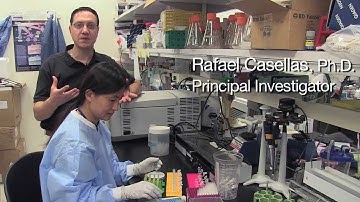 Genome Modification Provides Hope for Gene Therapy - Rafael Casellas, NIH Scientist