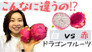 ドラゴンフルーツ赤vs白を食べ比べました！同じ種類なのに、こんなに違うの⁉️と驚きいっぱいです。