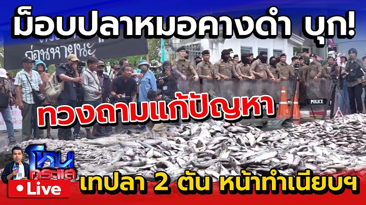 🔴 Live ม็อบปลาหมอคางดำ บุกทำเนียบฯ เทปลา 2 ตัน ทวงถามการแก้ปัญหา ลั่น! อาจมาเทปลาอีก 19 ตัน