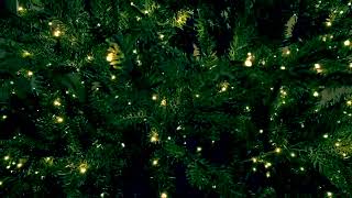 Beautiful Warm Twinkling Christmas tree lights | Instrumental Christmas music | Soft Holiday music screenshot 4