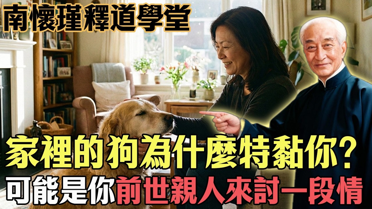 南怀瑾：家裡的狗為什麼特別黏你？揭秘：那是你前世「相欠債」的親人，回來討這最後一段情！#南懷瑾 #因果輪迴 #寵物 #金剛經 #人生修行#心靈修行#佛教#佛法#佛學智慧#智慧#因果