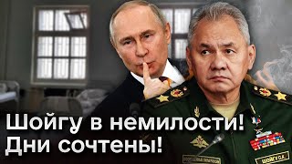 ❗❓ Путин готовит Шойгу надзирателя - своего бывшего охранника и бизнес-парнера Пригожина?!