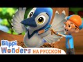 Птичье гнездо 🪹| ЧУДЕСА БЛИППИ | Обучающие мультики для детей