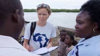 Sawfishes in the western Indian Ocean: Data Collection