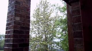 Duluth MN, first day of Summer 2011.