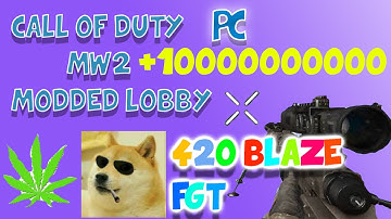 Call of Duty MW2 How To Make A Modded Lobby On PC [Online] Liberation
