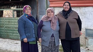 Download Lagu 27 Kasım 2025 MP3