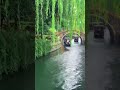 我上早八 MC药材_993