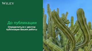 Подготовка Научной Статьи К Публикации В Международном Журнале