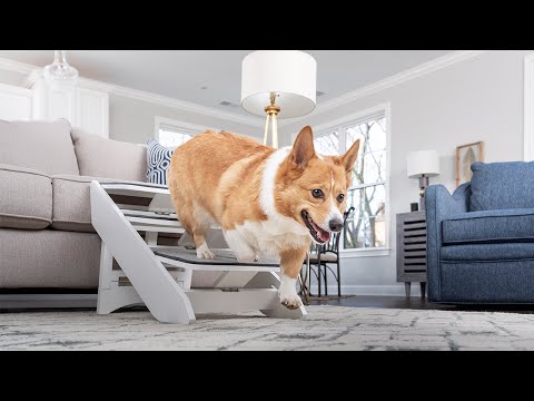 PetSafe® Improving Pet Access Around the Home with CozyUp™ Steps & Ramp Combo PetSafe® Improving Pet Access Around the Home with CozyUp™ Steps & Ramp Combo