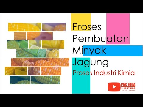 Video: Komposisi Kimia Lengkap Jagung