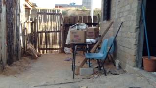 IMG 4629