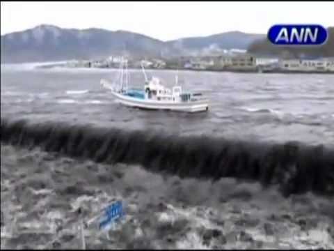 Tsunami: imgenes para el horror