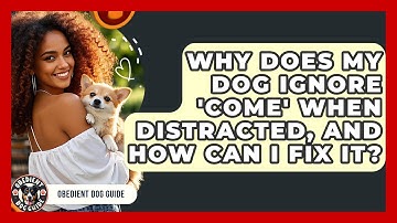 Why Does My Dog Ignore 