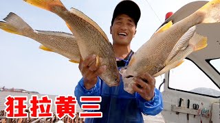 Fish prices are up again! Ajie 1200 fishhooks into the sea  and Huang San Kuangla sold more than 20