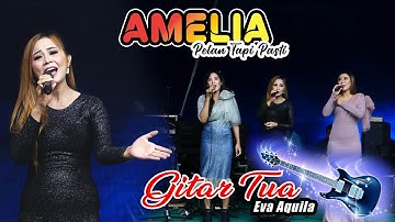 GITAR TUA || EVA AQUILA || AMELIA MUSIC WEDDING GHONI&TANTI