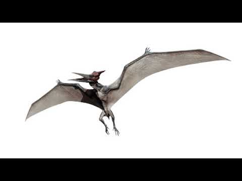 Pteranodon sounds