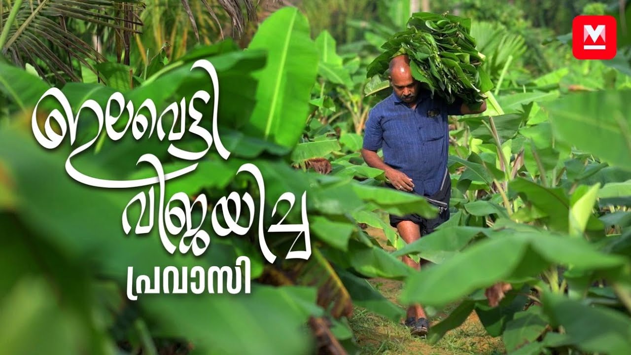 ഇലവെട്ടി വിജയിച്ച പ്രവാസി | Banana Leaf | Manorama Online