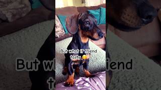 Famous Don’t bite your friends 😳 🚫 😜😂 #dog #funny #dogs #dogshorts #youtubeshorts #shortsfeed #shorts Profile