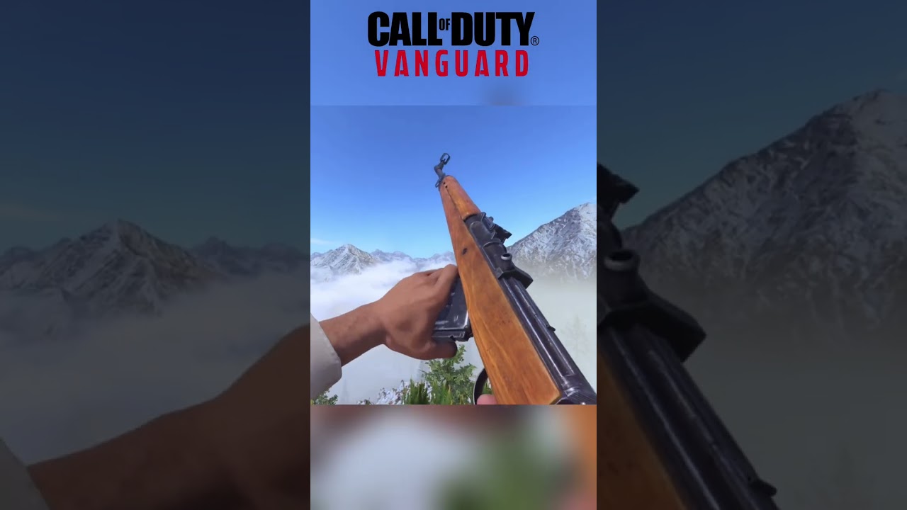 BFV Vs COD Vanguard: Gewehr 43 