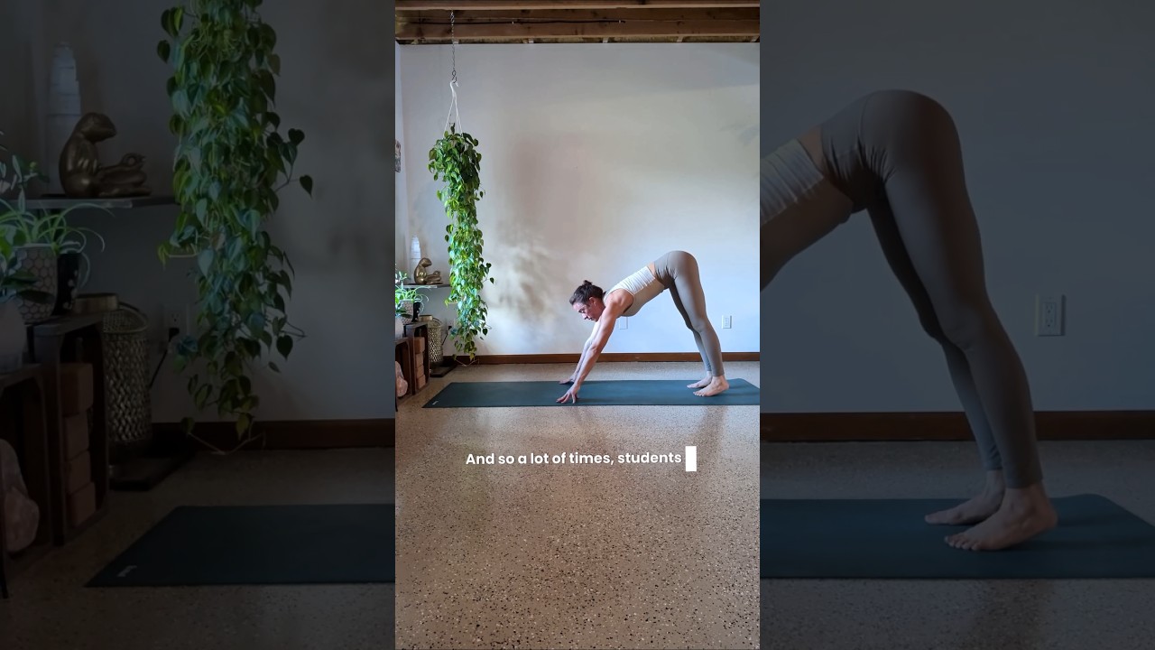 Никаких кончиков пальцев, ребята!! Вам нужны плечи, грудные мышцы, пресс, предплечья и сгибатели ...